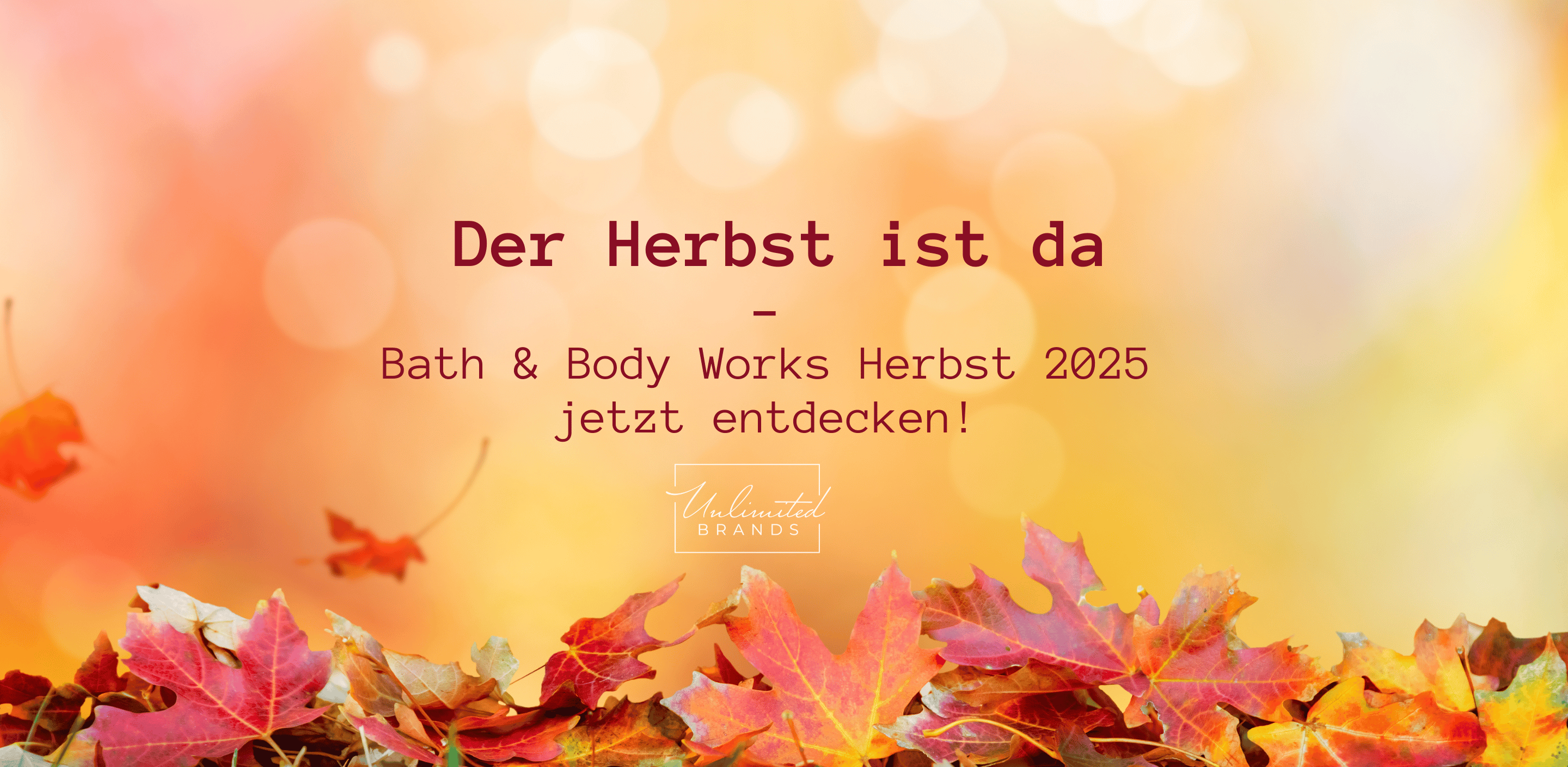 🍁 Bath & Body Works Herbstdüfte 2025