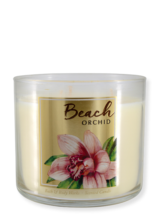 Rarity - 3-Poke Candle - Beach Orchid - 411g
