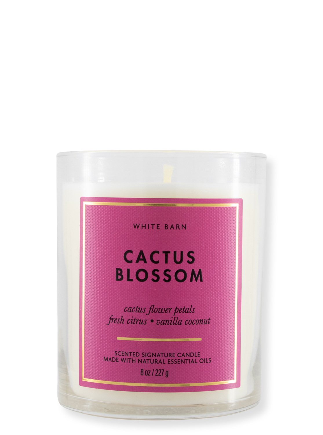 Zweite Wahl - 1-Docht Kerze - Cactus Blossom - 227g