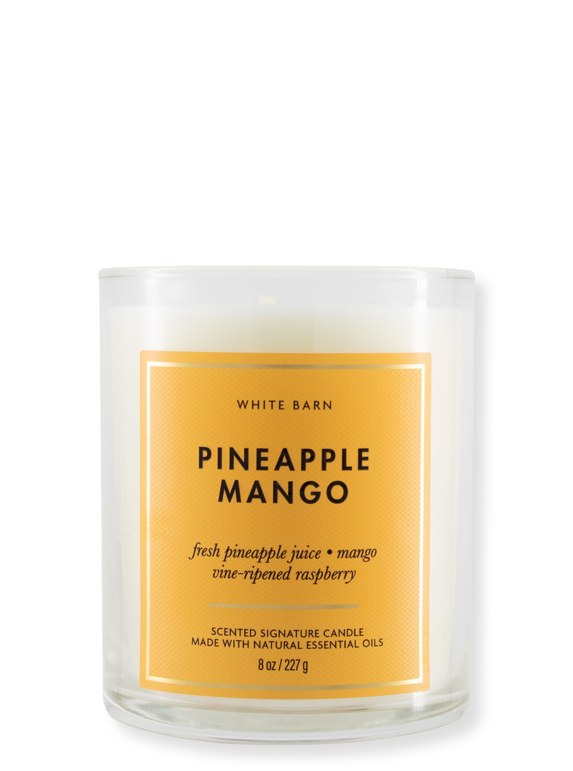 1-Wick Candle - Pineapple Mango - 227g