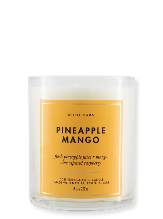 1 -Als kaarsen - pineapplle mango - 227G