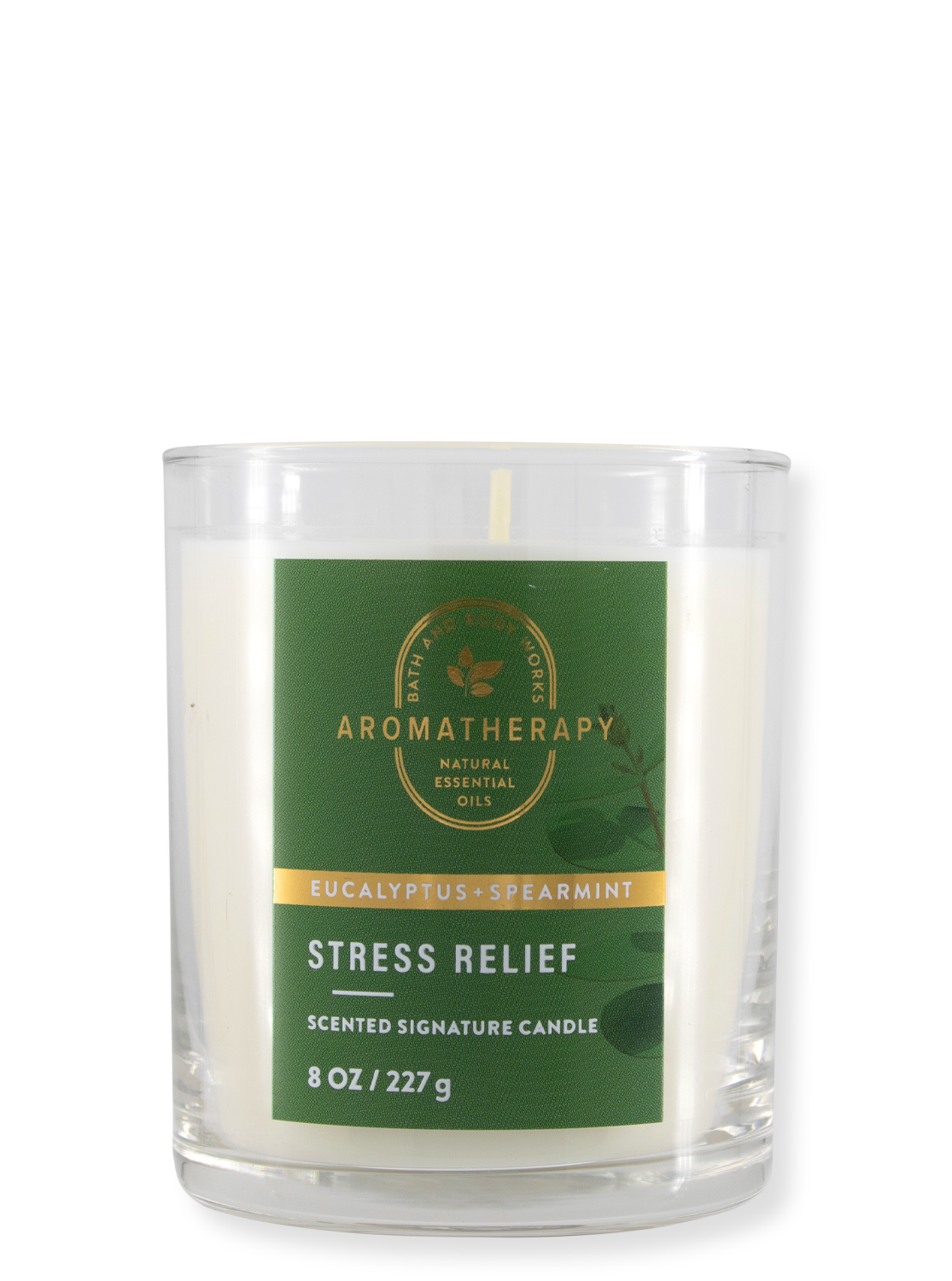 1-Wick Candle -Aromatherapy - Stress Relief - Eucalyptus Spearmint - 227g
