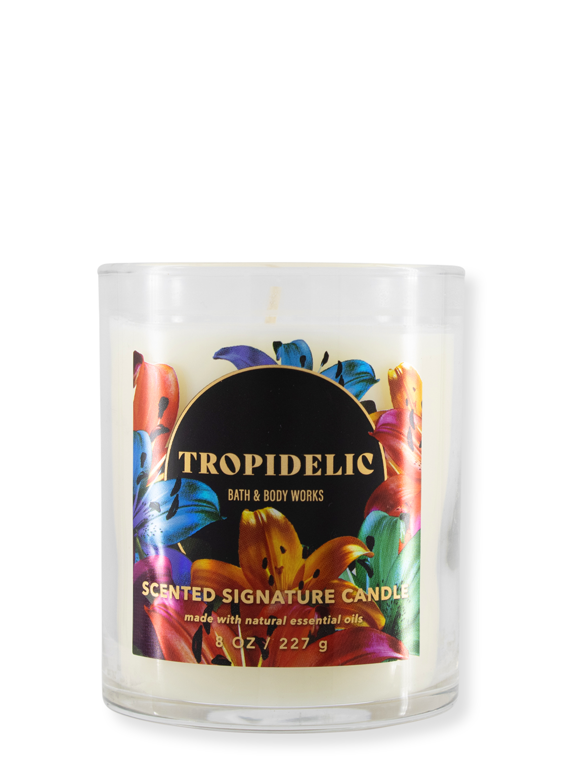 1 -f Candle - Tropidelic - 227g