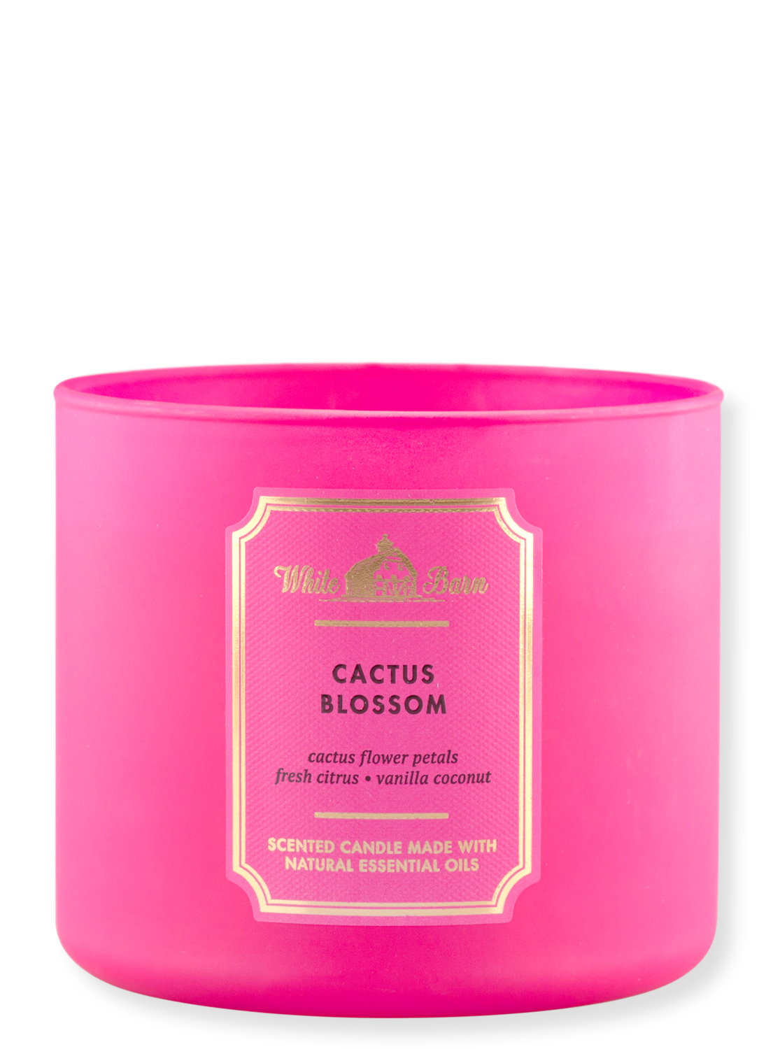3 -Als kaarsen - cactus bloesem - 411g