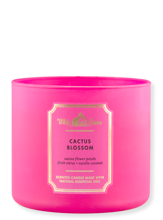 3 -Als kaarsen - cactus bloesem - 411g