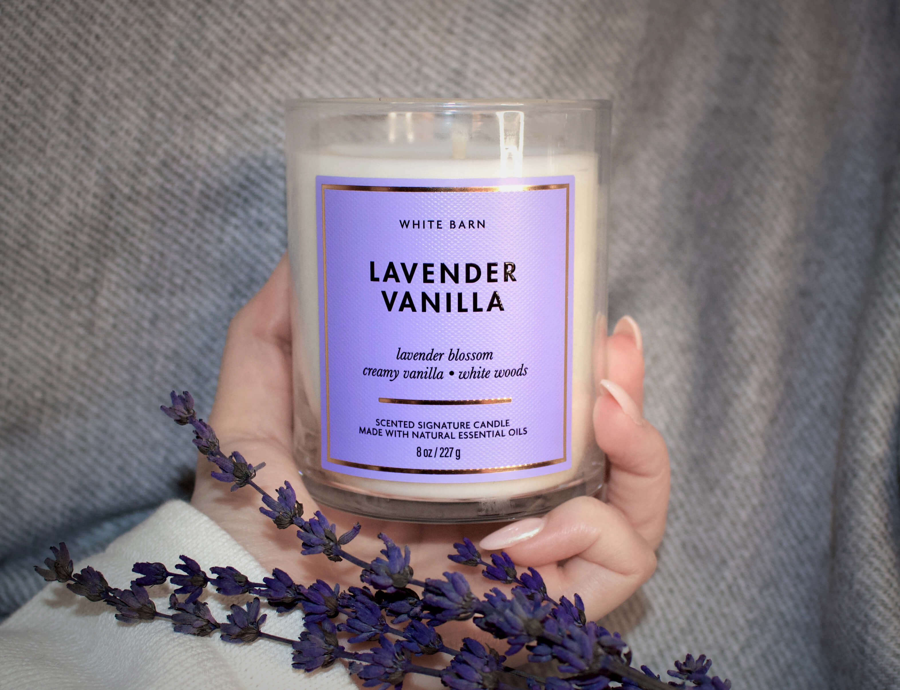 1-Wick Candle - Lavender Vanilla - 227g