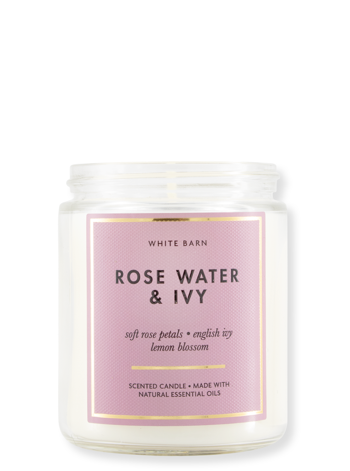 1-Docht Kerze - Rose Water & Ivy - 198g