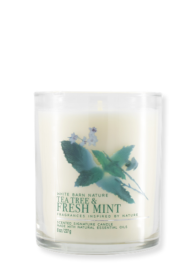 1-Docht Kerze - Tea Tree & Fresh Mint - 227g